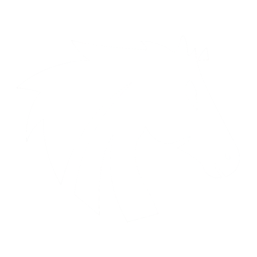 X tallion